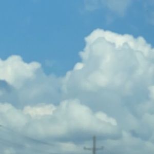 Meet your Posher, Sharis